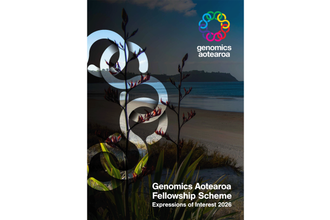 GA Fellowship EOI
